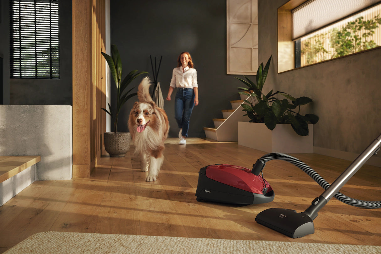 Miele Classic C1 Cat & Dog HEPA Bagged Canister Vacuum Cleaner